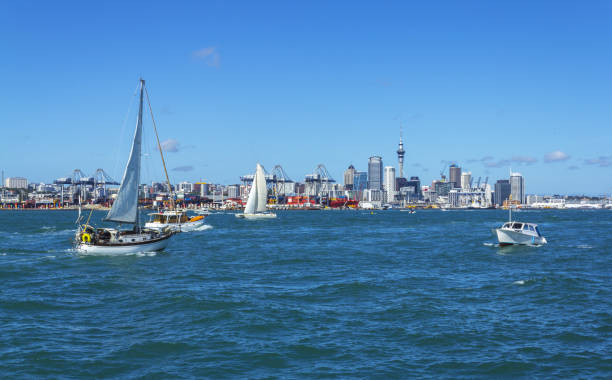 istock Auckland City Landmark 688921598