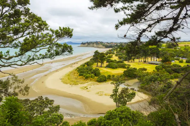 Photo of Long Bay Beach Auckland New Zealand; Regional Park