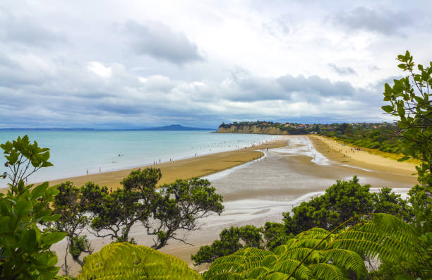 Long Bay Beach Auckland New Zealand; Regional Park View from uphill to Long Bay Beach in Auckland, New Zealand. Long Bay Beach is a Regional Park. rangitoto island stock pictures, royalty-free photos & images