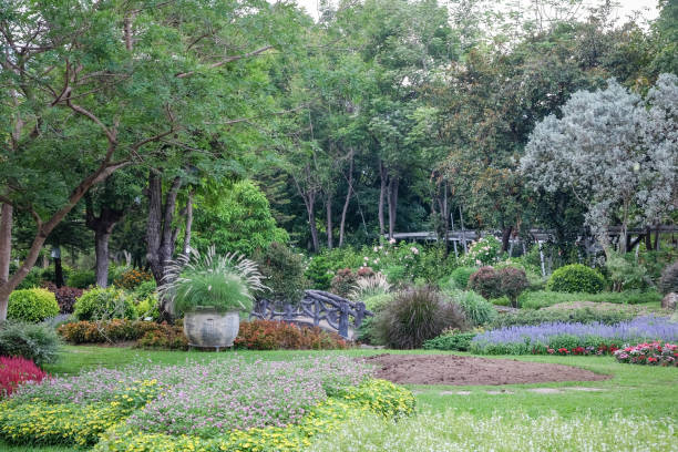 istock nature concept green trees in the shade garden 688925932