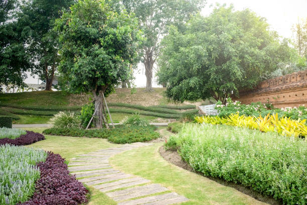istock nature concept green trees in the shade garden 688926122