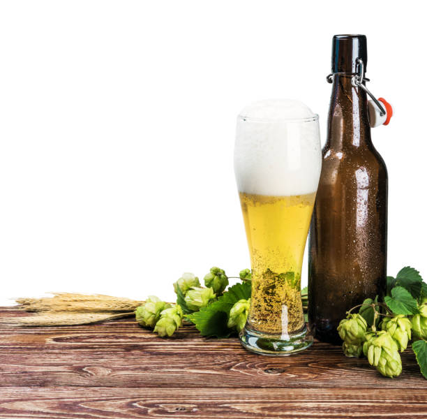 istock beer bottles and a branch of hops 688928976
