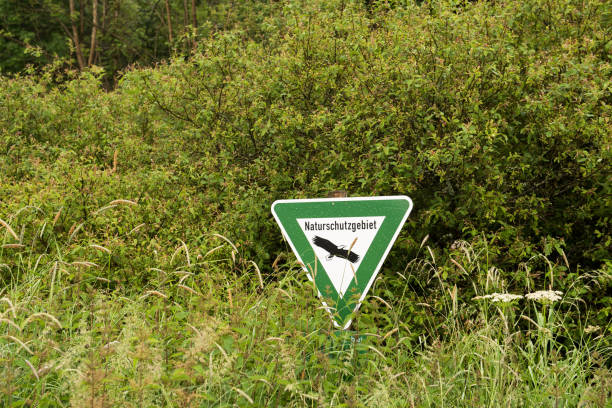 Sign nature conservation in the forest hidden in the green bushes nature reserve stock pictures, royalty-free photos & images