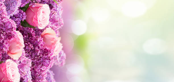 istock Lilac and rose flowers 688934006