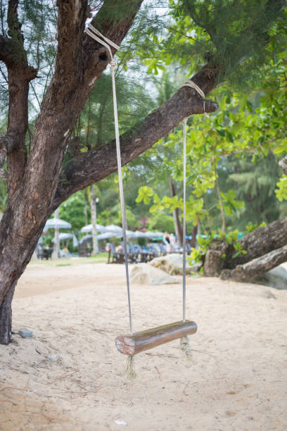 istock Swing on the beach, thailand 688934142