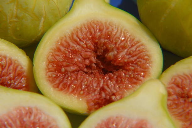 istock Sweet figs to eat - Spain 688934284