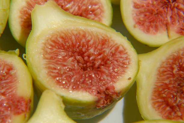 istock Sweet figs to eat - Spain 688934852