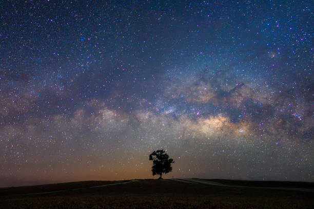 istock Beautiful milky way with a single treebackground.Landscape with night starry sky and a tree on hill 688936168