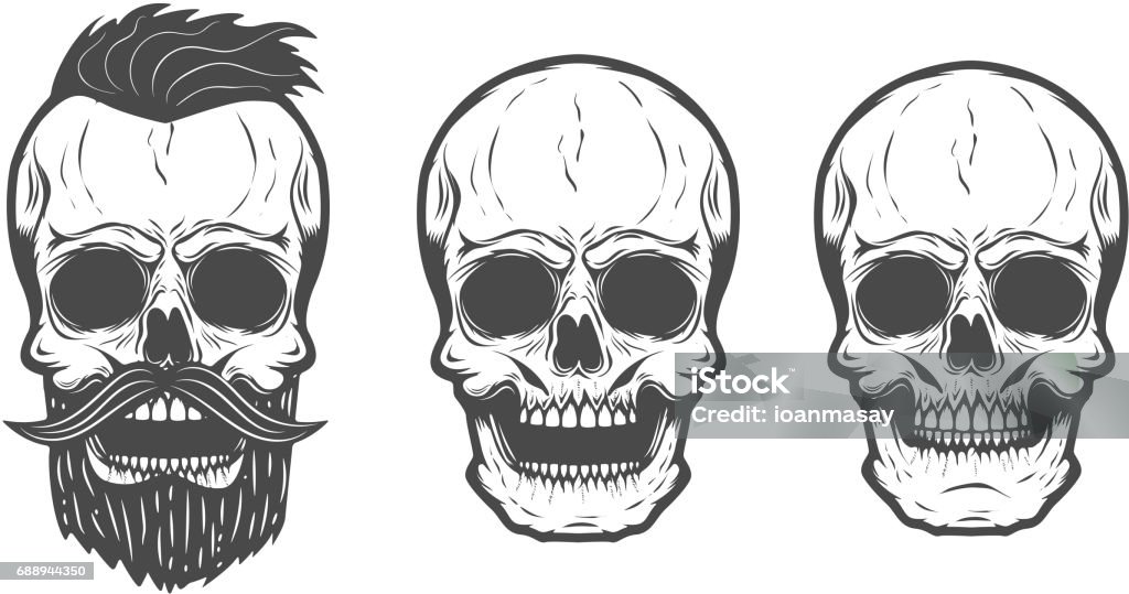 Skull Panel Vector Set Of The Vector Skulls Isolated On White Background Vector Design ...