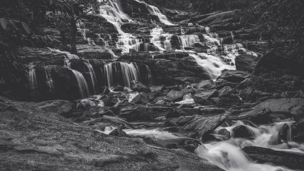 istock black and white Mae ya waterfall, Doi Inthanon National Park, Chiangmai, Thailand 688944452