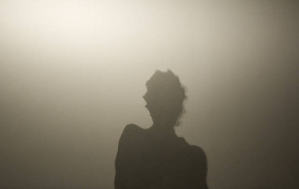 istock Shadows of person on wall 688948920