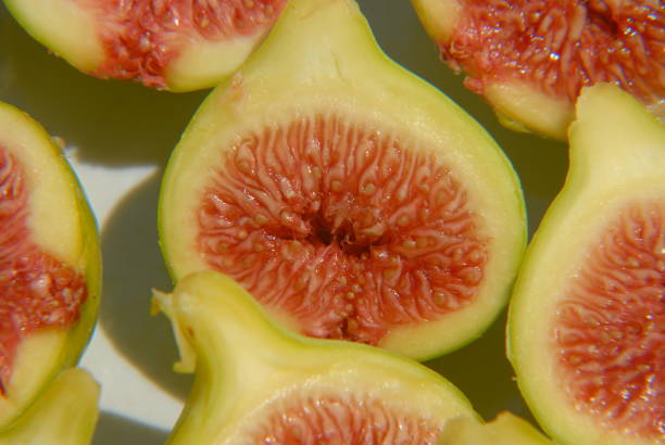istock Sweet figs to eat - Spain 688959758