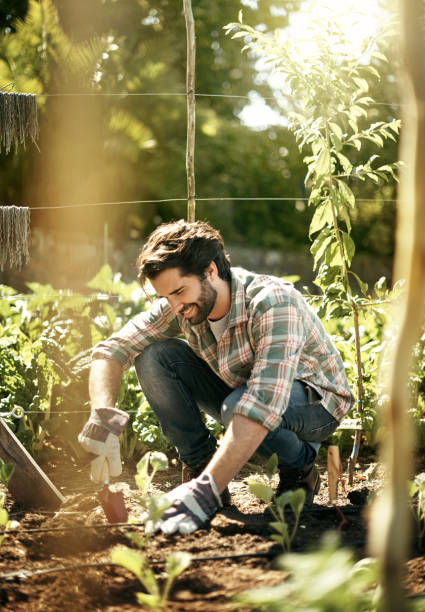 istock Love your soil and it'll love you back 688966632