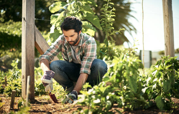 istock You learn something new every day in the farm world 688966638