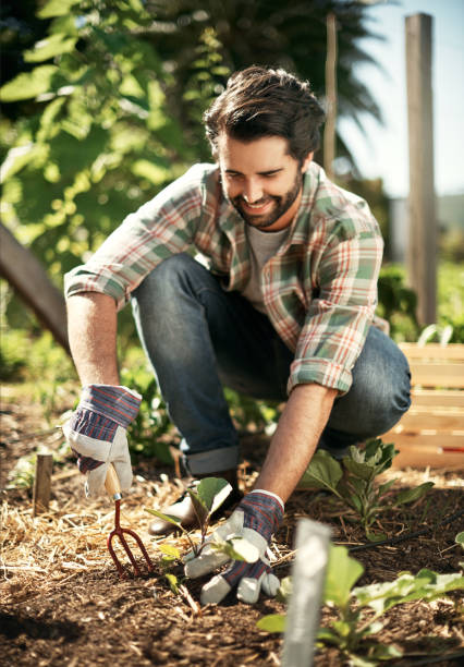istock Spring has come and it’s planting season 688966650