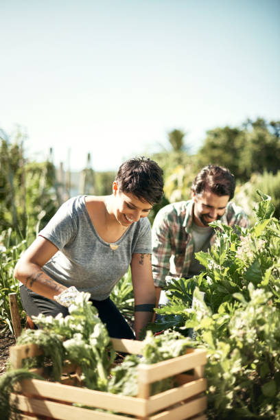 istock Loving the organic life 688966684