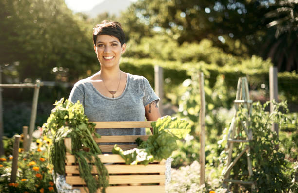 istock I'm off to store and preserve these 688966724