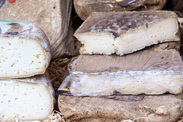 formaggi e vini, prodotti tipici piemontesi, italia - il formaggio di coltivatore foto e immagini stock