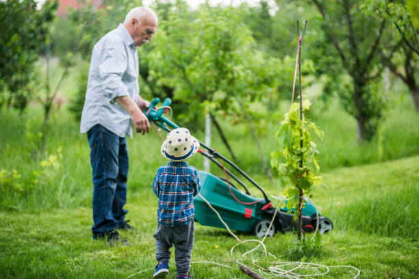 istock Family time in mowing the lawn 688987132