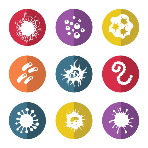 illustrations, cliparts, dessins animés et icônes de icônes de microbes bacteries et infection immunitaires - pathogen streptococcus life science