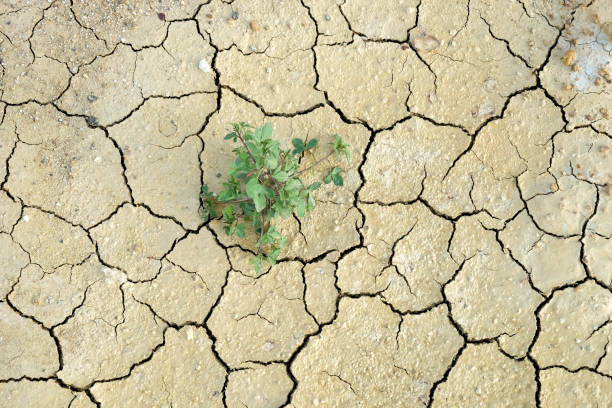 istock abstract background rift of soil Climate change and drought land 688993078