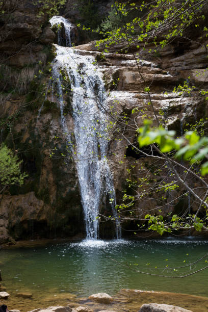 istock Pure mountain creek with green water 688993158