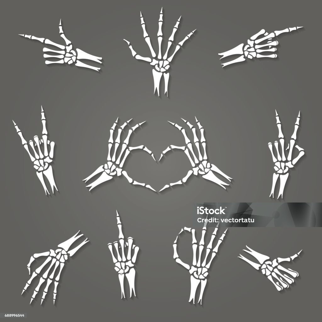 Skeleton hand signs Skeleton hand signs isolated on grey background. Xray arm bones or hands gestures vector illustration Human Skeleton stock vector