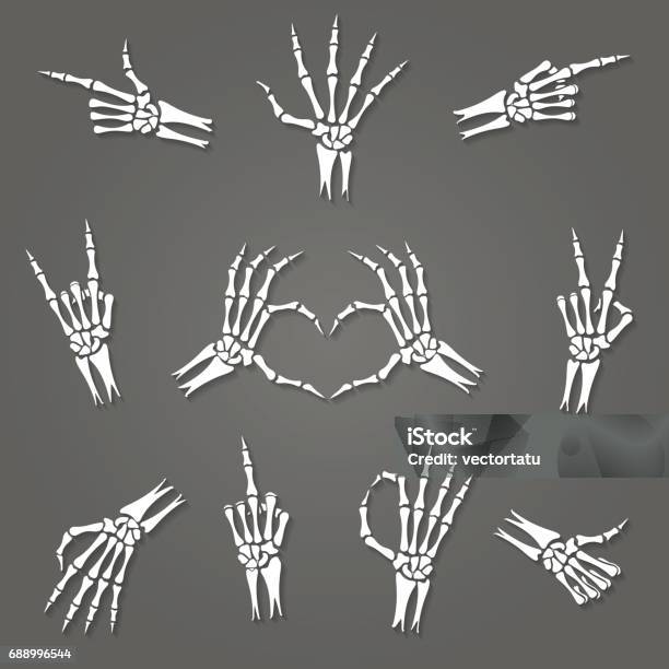 Skeleton Hand Signs Stock Illustration - Download Image Now - Human Skeleton, Hand, Heart Shape