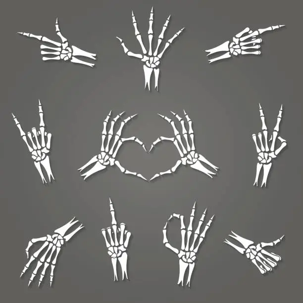 Vector illustration of Skeleton hand signs