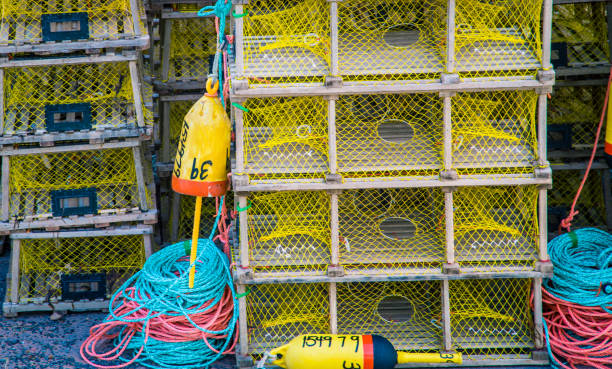 istock lobster traps and rope 689000688