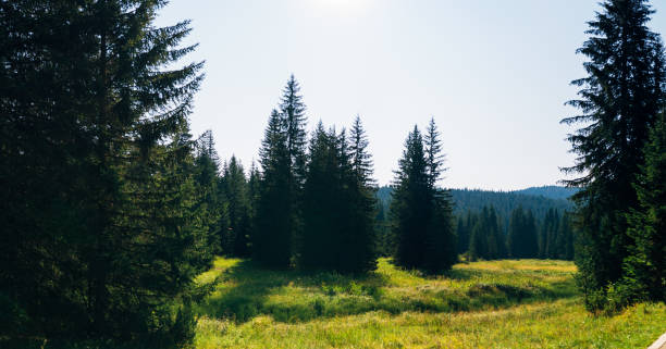 Black lake in Durmitor national park in Montenegro, Europe. Beauty world.