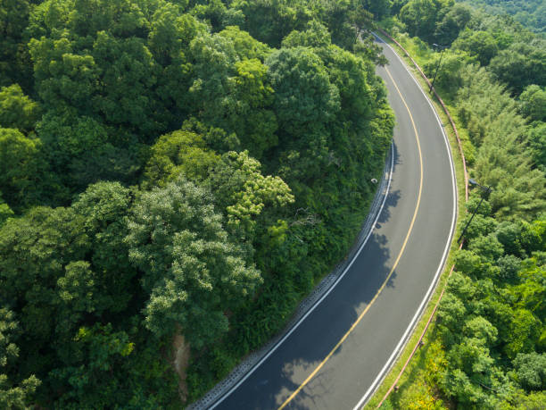 istock Aerial forest canopy and road 689007500