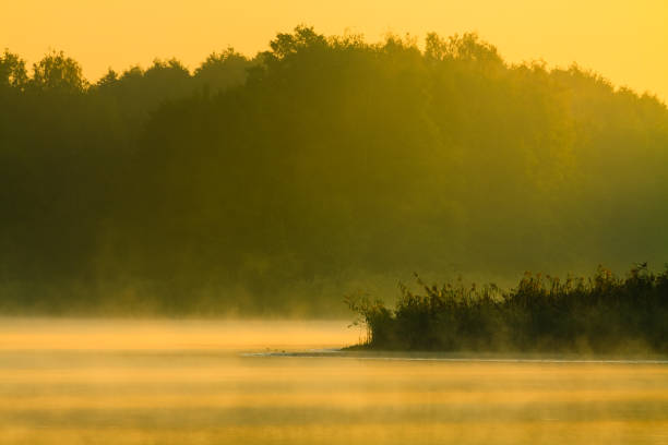 istock Morning fog above lake. 689014074