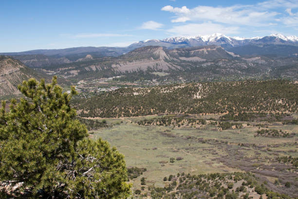istock Meadow and mountain view in Horse Gulch trail system 689014316