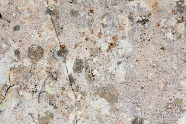 Photo of Full frame limestone slick rock