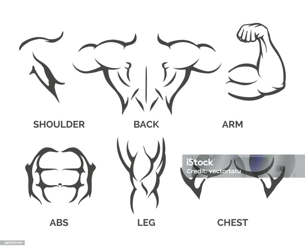 Bodybuilder body parts icons Bodybuilder muscles vector illustration. Healthy and muscular fitness body parts icons Abdominal Muscle stock vector