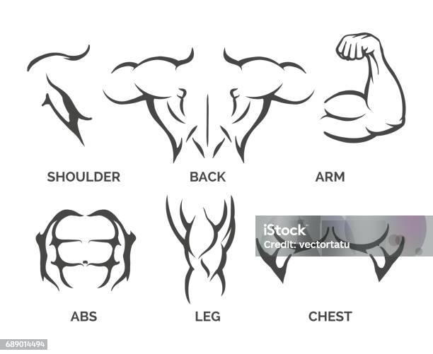 Bodybuilder Body Parts Icons Stock Illustration - Download Image Now - Abdominal Muscle, Muscular Build, Muscle