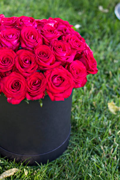 un bouquet des roses rouges dans une boîte - wedding black and white weddings rose photos et images de collection