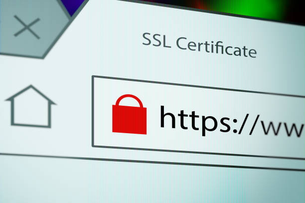istock Close-up of a browser window showing lock icon during SSL connection 689019716