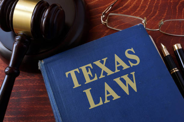 istock Book with title Texas law and a gavel. 689023396