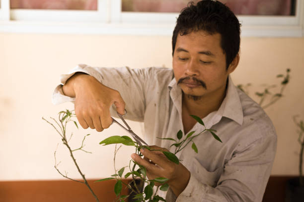 istock man culture vegetable on plantation 689033332