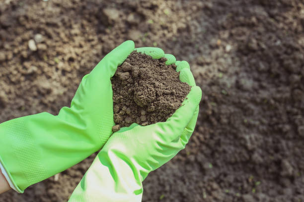istock Quality of the soil 689039544
