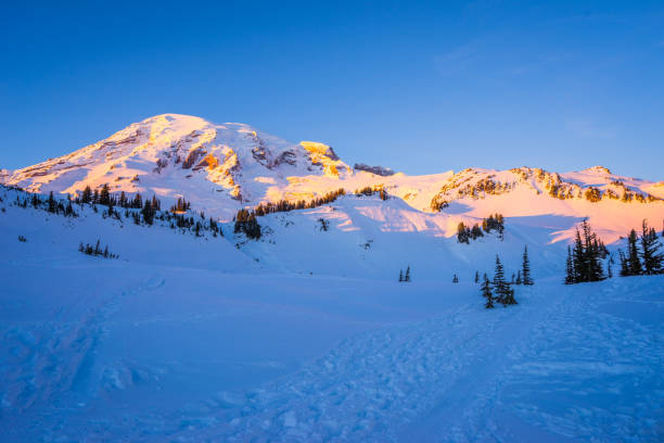 istock Mount Rainier National Park, Winter, Paradise Area 689040396