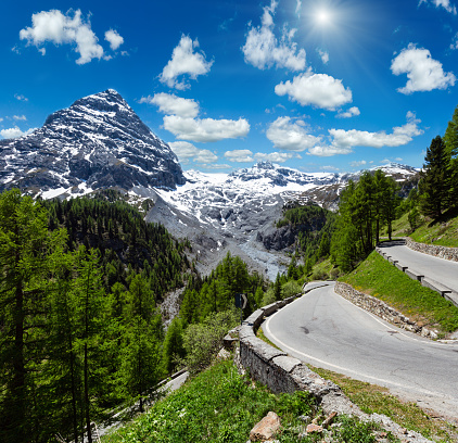 Summer sunshiny Stelvio Pass with fir forest and  snow on mountain top (Italy). Two shots stitch image.