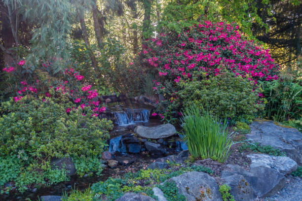 istock Garden Stream Landscape 3 689050790