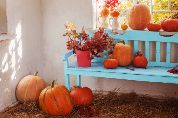 istock pumpkins on blue wooden bench indoor 689051026