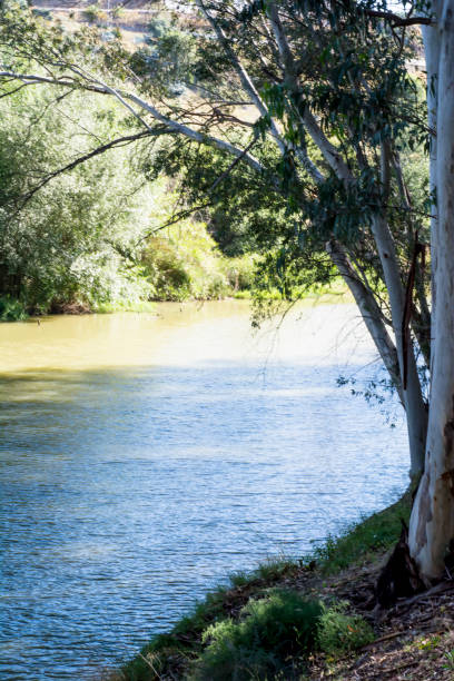 istock Landscape of a river with trees on a sunny day 689051650