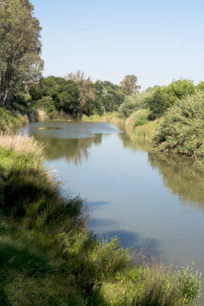 istock Landscape of a river with trees on a sunny day 689051766