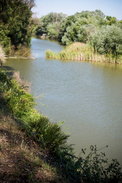 istock Landscape of a river with trees on a sunny day 689054792