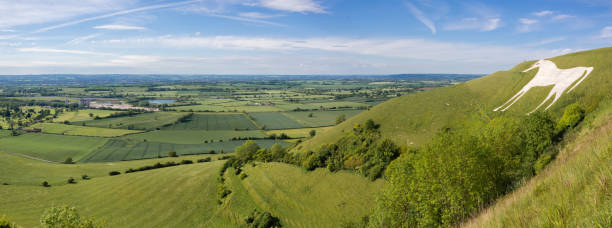 View from Westbury White Horse